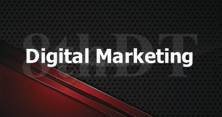 Digital Marketing - 8th Domain Technology